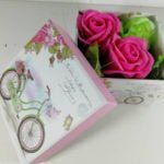 aranjament mic bici roz (2)