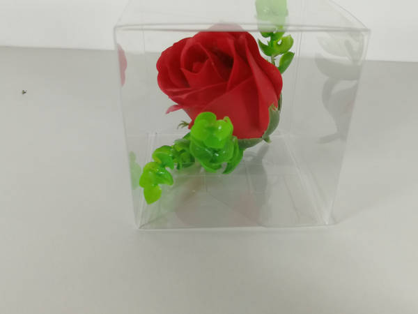 trandafir rosu t1
