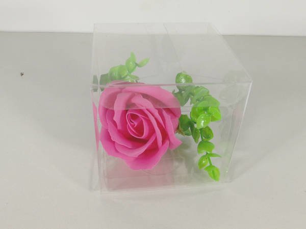 trandafir roz t1 1
